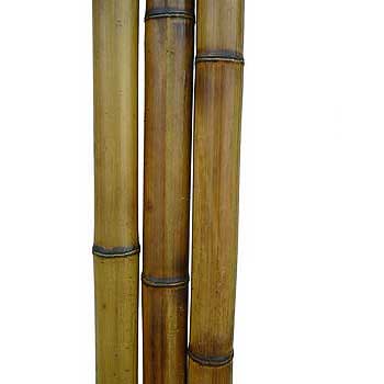 Половинка бамбука стандарт 4-5 см 
