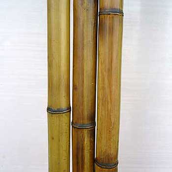 Бамбук ствол 2-3 см