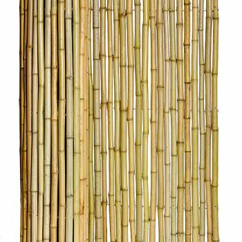 Бамбуковый забор 100 х 200 см