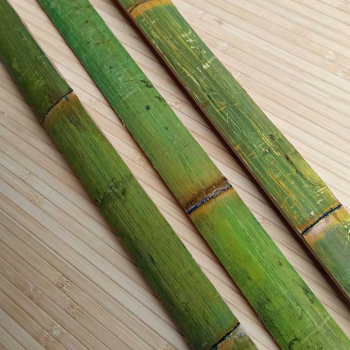Бамбуковая рейка зелёная фото