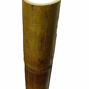 Половинка бамбука стандарт 8-9 см 