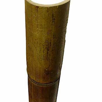 Половинка бамбука стандарт 9-10 см