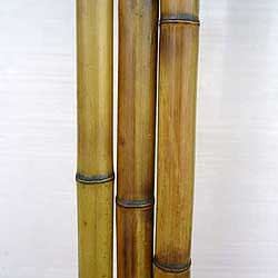 Бамбук ствол 2 - 3 см