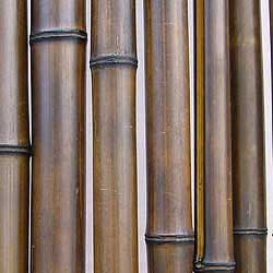Бамбук ствол 4 - 5 см Венге