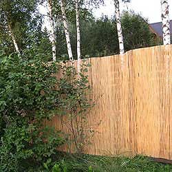 Забор из тростника 200 x 600 см