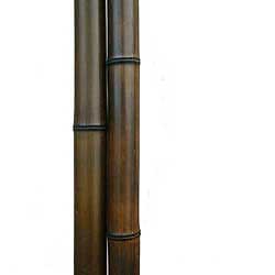 Бамбук ствол 5 - 6 см Венге