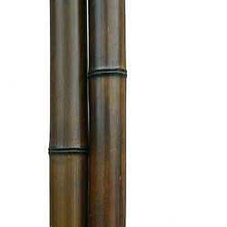 Бамбук ствол 6 - 7 см Венге