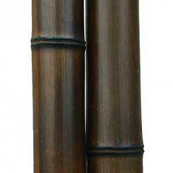 Бамбук ствол 9 - 10 см Венге