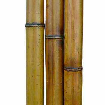 Бамбук ствол 4 - 5 см