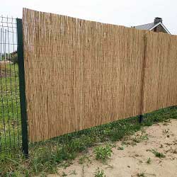 Забор из тростника 200 x 300 см