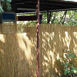 Забор из тростника 140 x 300 см