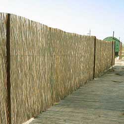 Забор из тростника 180 x 600 см