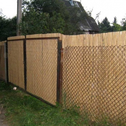 Забор из тростника 180 x 300 см