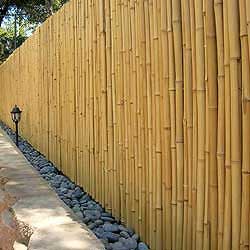 Забор декоративный из бамбука