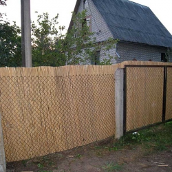 Забор из тростника 160 x 300 см