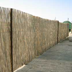Забор из тростника на пляже